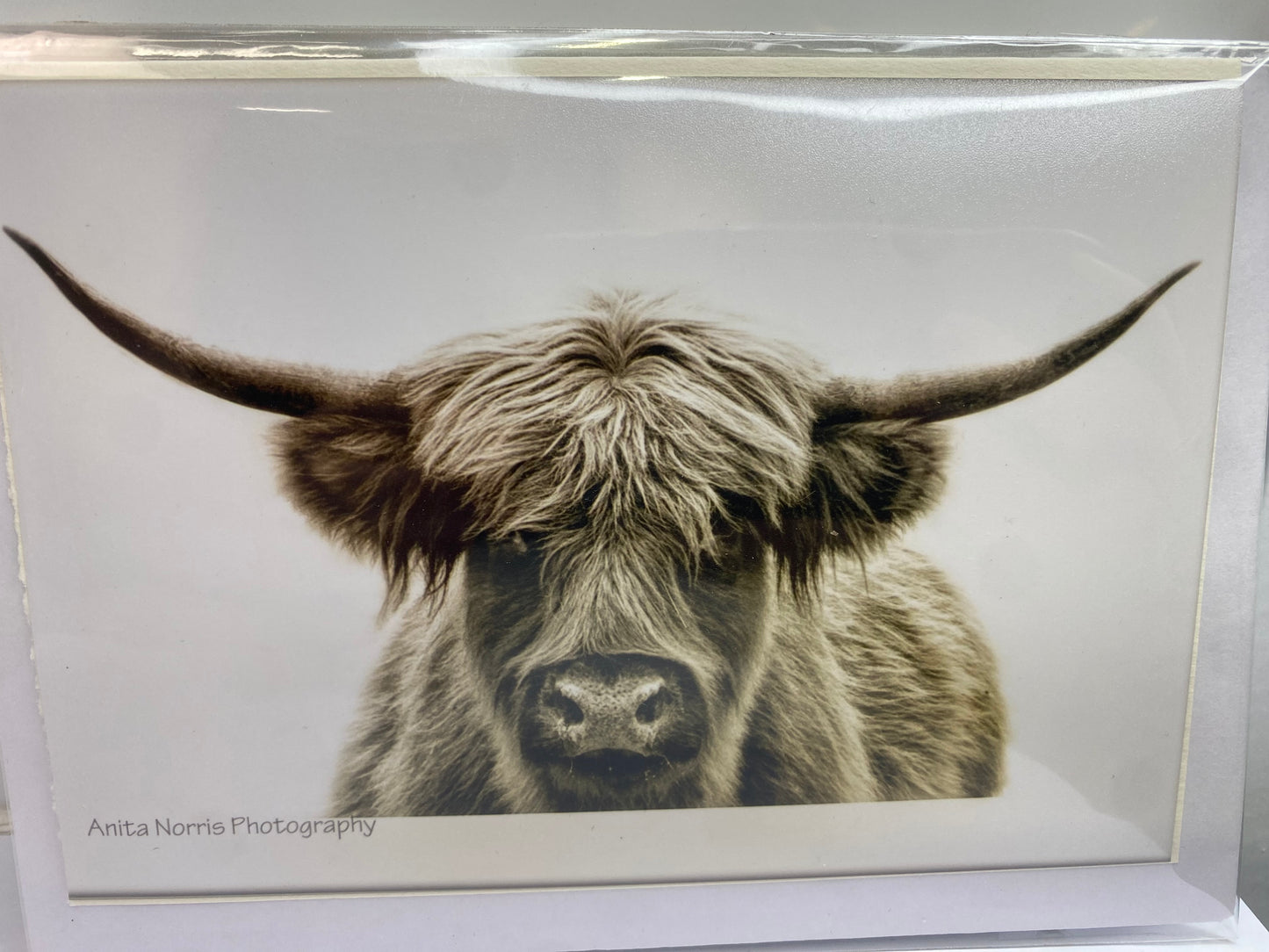 Anita Norris PHOTOGRAPHY blank Gift Cards